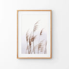 Thin Wood Frame w/ Mat / 8x10 inches