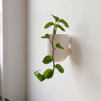 Bender Wall Planter