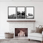 Black Frame - no mat / 8x10 inches