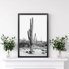 Black Frame / 8x10 inches
