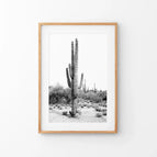 Thin Wood Frame w/ Mat / 8x10 inches