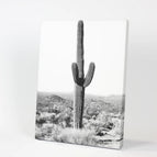 Wrapped Canvas / 8x10 inches