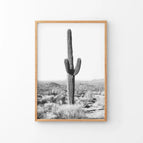 Thin Wood Frame / 8x10 inches