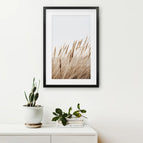 Black Frame w/ Mat / 8x10 inches