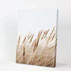Wrapped Canvas / 8x10 inches