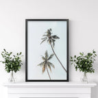 Black Frame / 8x10 inches