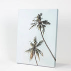 Wrapped Canvas / 8x10 inches