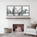 Black Frame - no mat / 8x10 inches