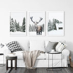 White Frame - no mat / 8x10 inches