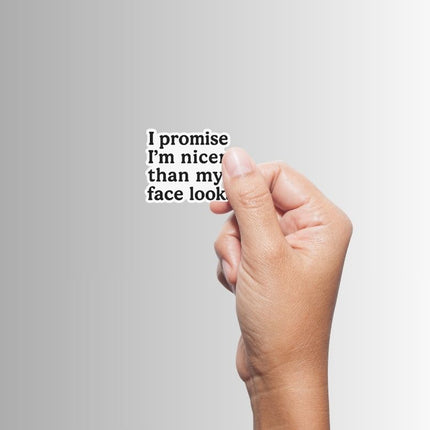 "I promise I'm nicer than my face looks" Sarcastic Sticker