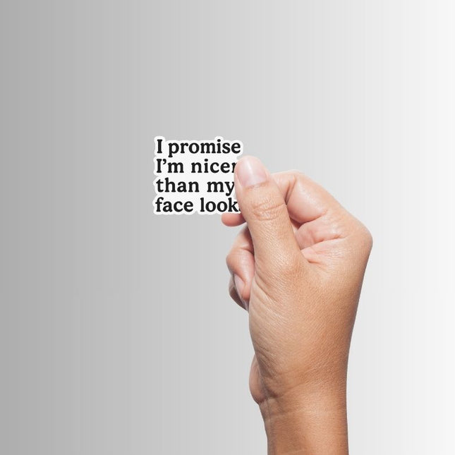 "I promise I'm nicer than my face looks" Sarcastic Sticker