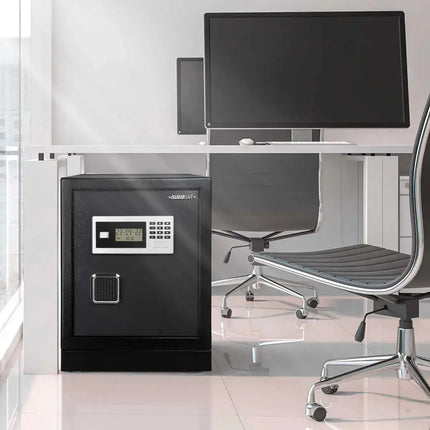 Datasavior Spacious Home Office Safe