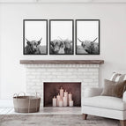 Black Frame - no mat / 8x10 inches