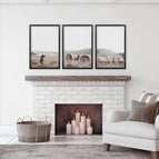 Black Frame - no mat / 8x10 inches