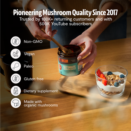 Organic Mushroom Extract Powder Blend