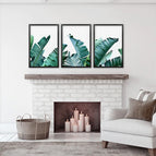 Black Frame - no mat / 8x10 inches