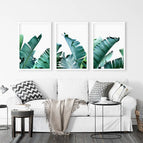 White Frame - no mat / 8x10 inches