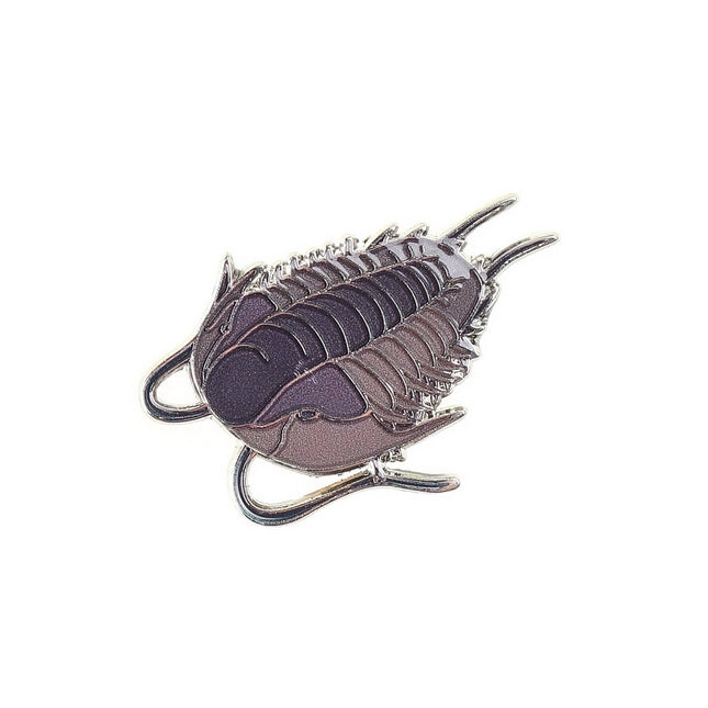 Olenoides Enamel Pin (Olenoides serratus)