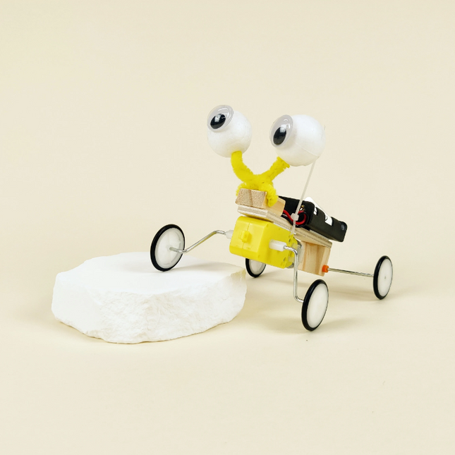 Bug Robot DIY Kit, Educational STEM Toy
