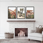 Black Frame - no mat / 8x10 inches