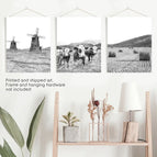 Print - unframed / 8x10 inches