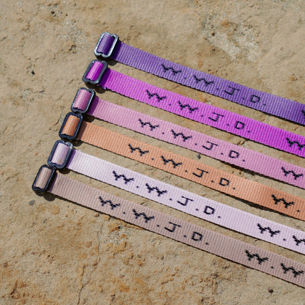 WWJD Paradise Bracelet Pack
