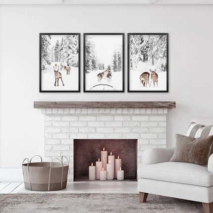 Winter Woodland Photo Set of 3. Fawn, Dog Sledding