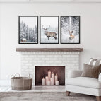 Black Frame - no mat / 8x10 inches