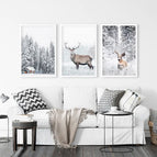 White Frame - no mat / 8x10 inches