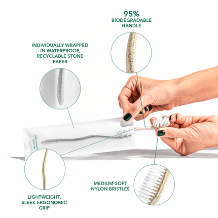 Gentle Green Toothbrush Family Pack (10 Count) – Eco-Friendly Wheat Straw Toothbrushes for Sensitive Teeth | BPA-Free, Travel-Friendly