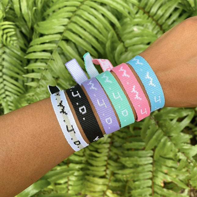 Mystery WWJD Bracelet Pack